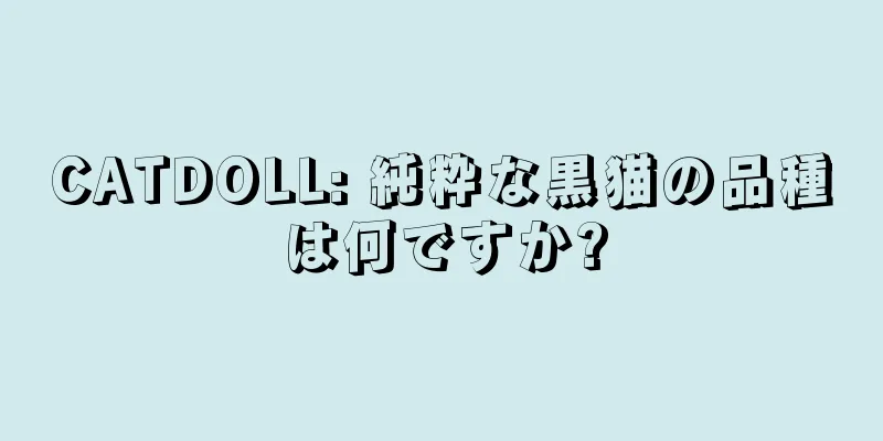 CATDOLL: 純粋な黒猫の品種は何ですか?