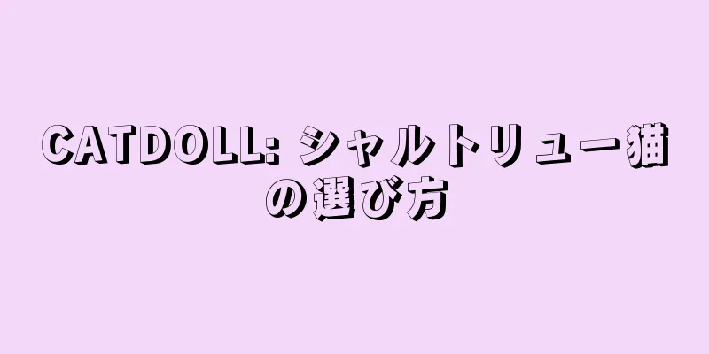 CATDOLL: シャルトリュー猫の選び方
