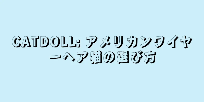 CATDOLL: アメリカンワイヤーヘア猫の選び方