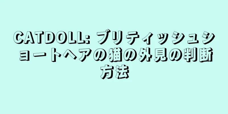 CATDOLL: ブリティッシュショートヘアの猫の外見の判断方法