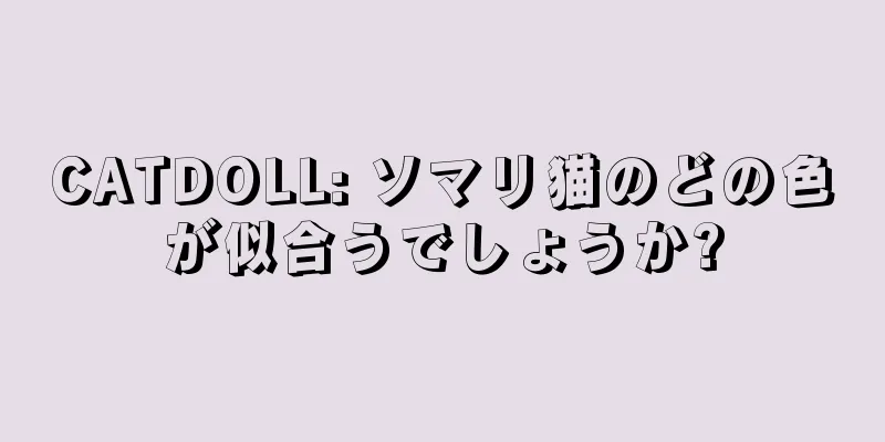 CATDOLL: ソマリ猫のどの色が似合うでしょうか?