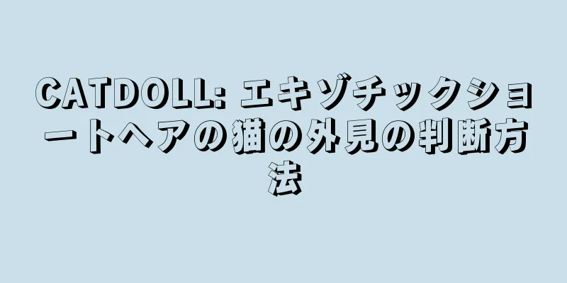 CATDOLL: エキゾチックショートヘアの猫の外見の判断方法