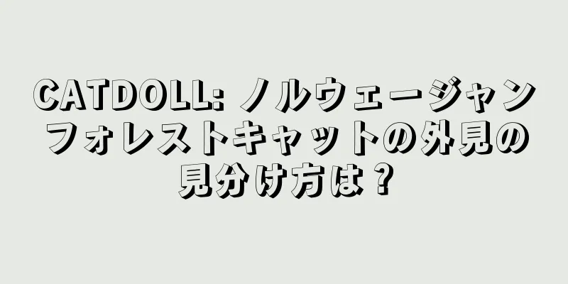 CATDOLL: ノルウェージャンフォレストキャットの外見の見分け方は？