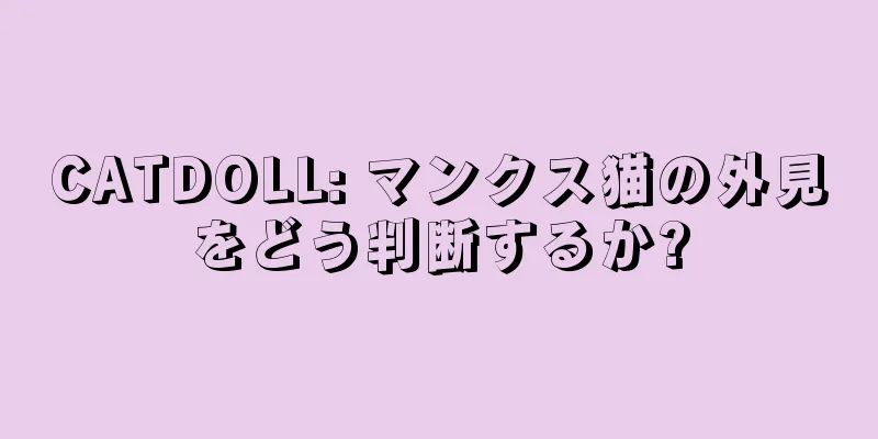 CATDOLL: マンクス猫の外見をどう判断するか?
