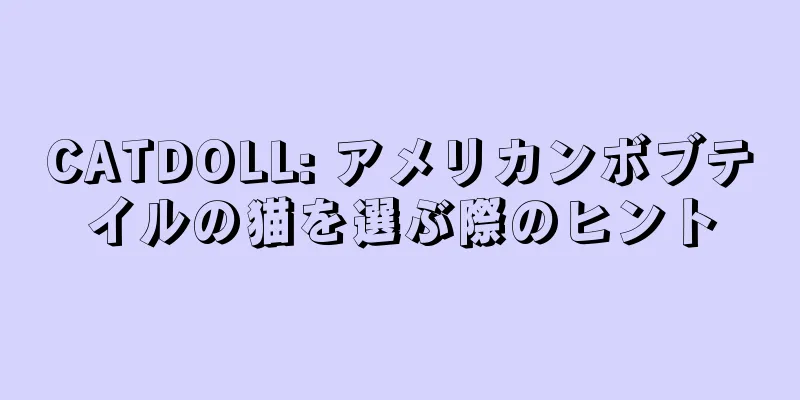 CATDOLL: アメリカンボブテイルの猫を選ぶ際のヒント