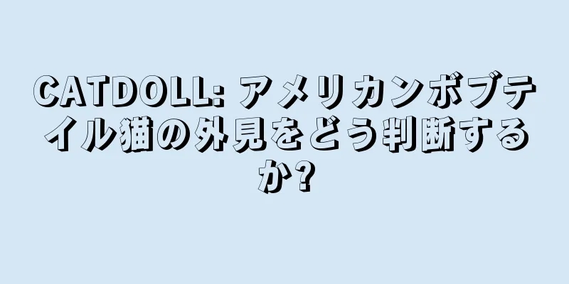 CATDOLL: アメリカンボブテイル猫の外見をどう判断するか?