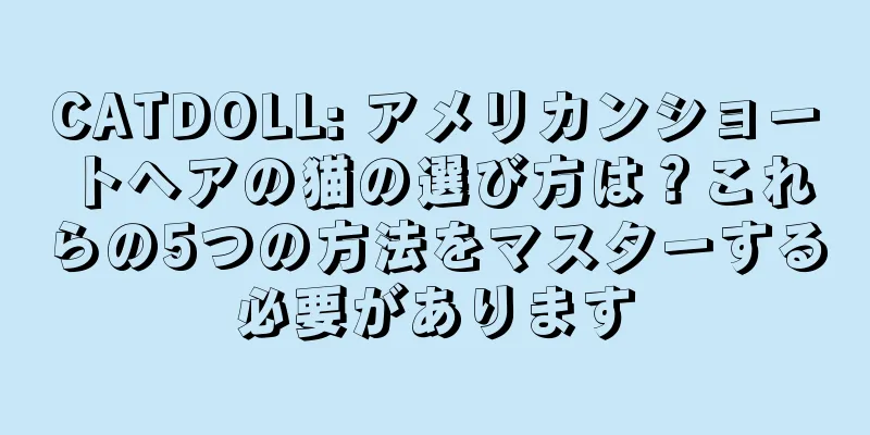 CATDOLL: アメリカンショートヘアの猫の選び方は？これらの5つの方法をマスターする必要があります