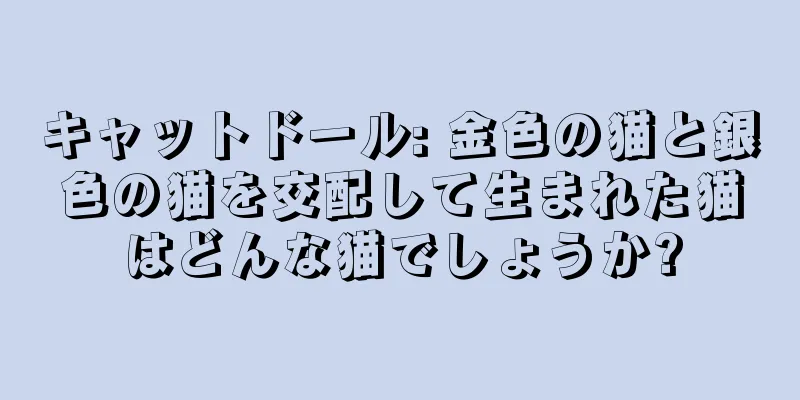 キャットドール: 金色の猫と銀色の猫を交配して生まれた猫はどんな猫でしょうか?