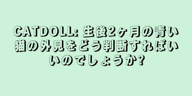 CATDOLL: 生後2ヶ月の青い猫の外見をどう判断すればいいのでしょうか?