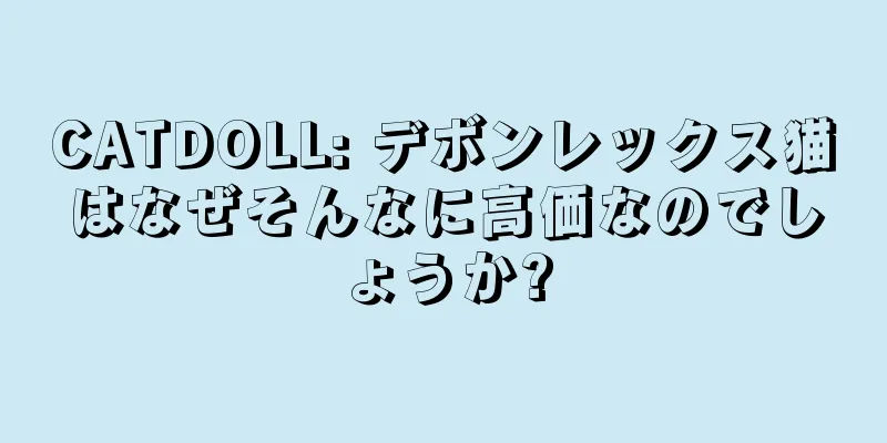 CATDOLL: デボンレックス猫はなぜそんなに高価なのでしょうか?