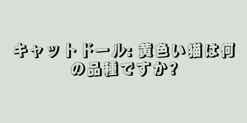 キャットドール: 黄色い猫は何の品種ですか?