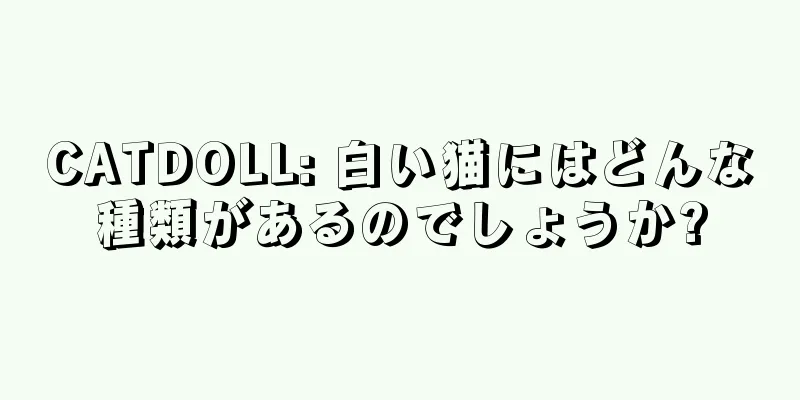 CATDOLL: 白い猫にはどんな種類があるのでしょうか?