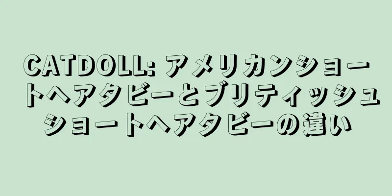 CATDOLL: アメリカンショートヘアタビーとブリティッシュショートヘアタビーの違い