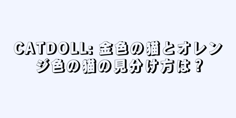 CATDOLL: 金色の猫とオレンジ色の猫の見分け方は？