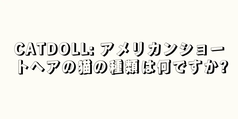 CATDOLL: アメリカンショートヘアの猫の種類は何ですか?