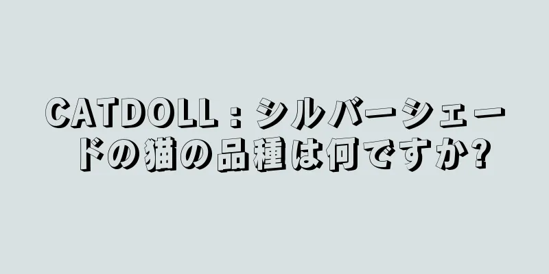 CATDOLL : シルバーシェードの猫の品種は何ですか?
