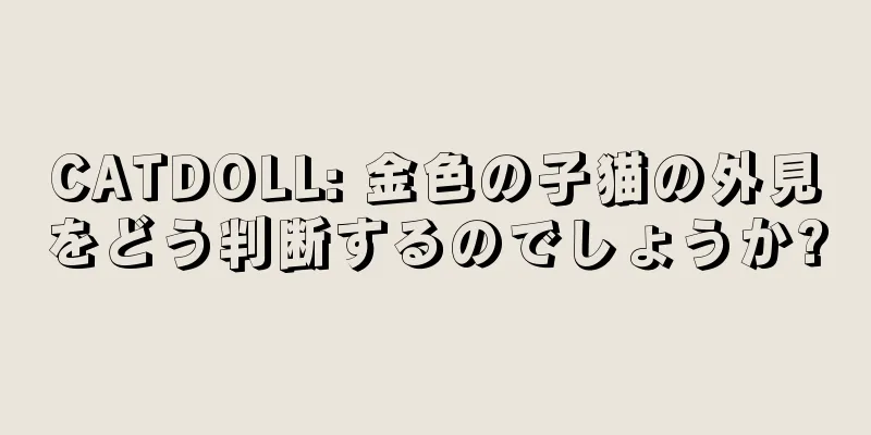 CATDOLL: 金色の子猫の外見をどう判断するのでしょうか?