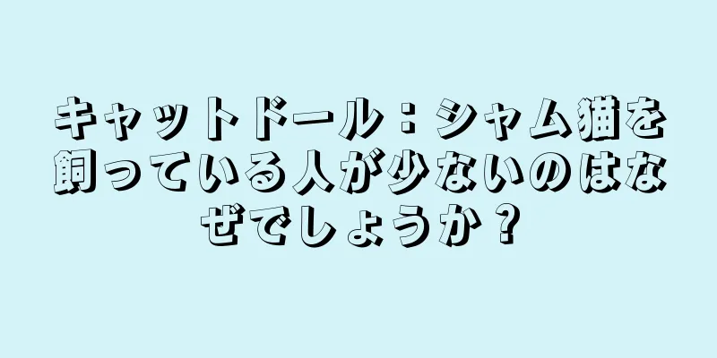 キャットドール：シャム猫を飼っている人が少ないのはなぜでしょうか？