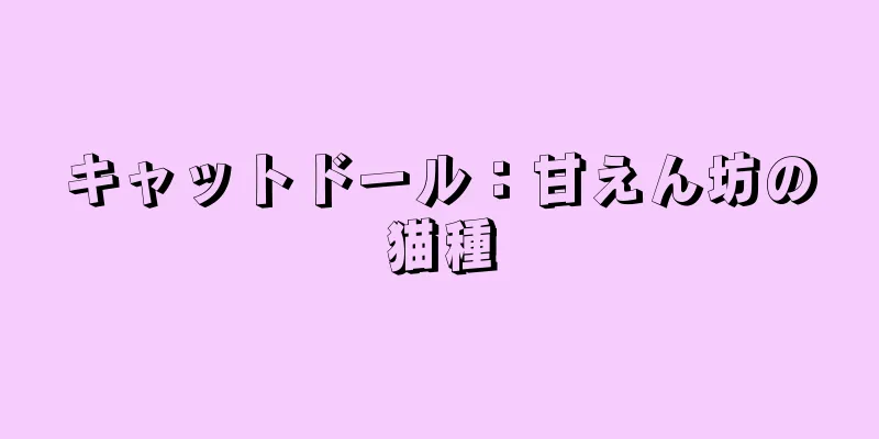 キャットドール：甘えん坊の猫種