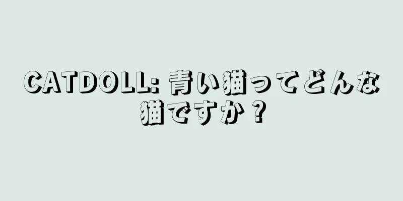 CATDOLL: 青い猫ってどんな猫ですか？