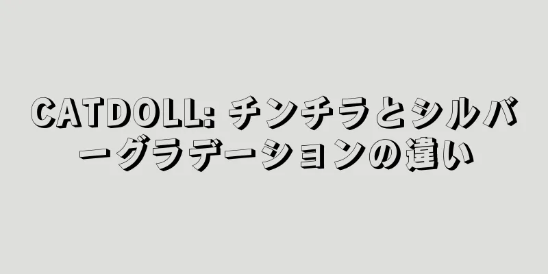 CATDOLL: チンチラとシルバーグラデーションの違い