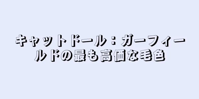 キャットドール：ガーフィールドの最も高価な毛色