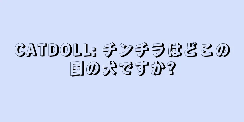 CATDOLL: チンチラはどこの国の犬ですか?