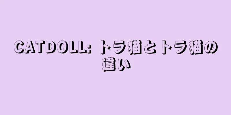 CATDOLL: トラ猫とトラ猫の違い