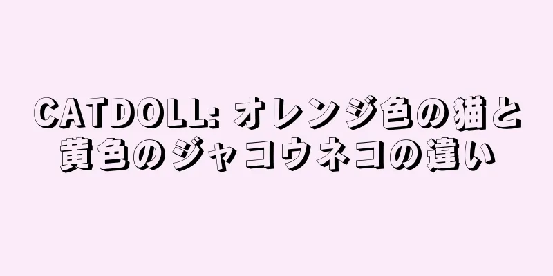 CATDOLL: オレンジ色の猫と黄色のジャコウネコの違い