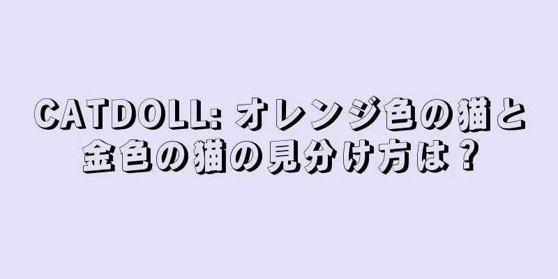 CATDOLL: オレンジ色の猫と金色の猫の見分け方は？