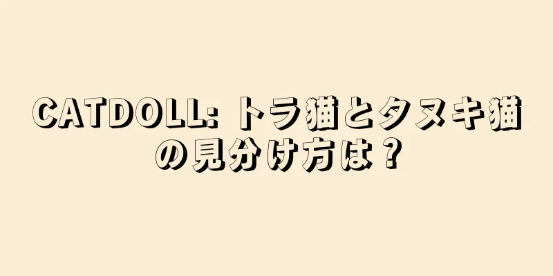 CATDOLL: トラ猫とタヌキ猫の見分け方は？