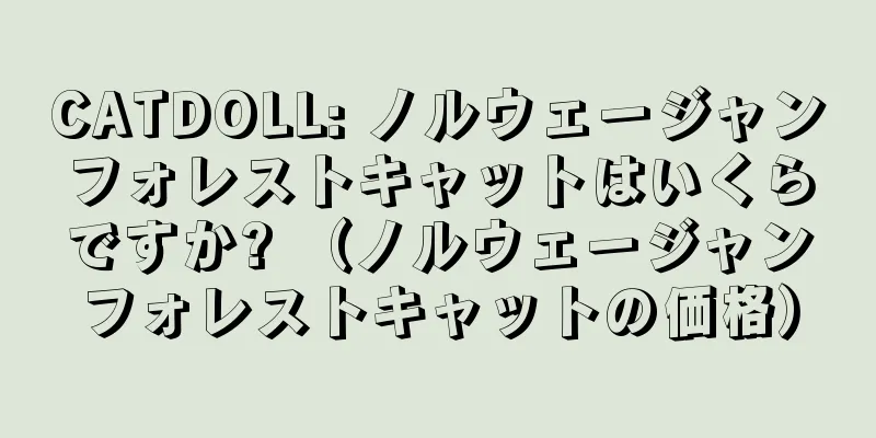 CATDOLL: ノルウェージャンフォレストキャットはいくらですか? （ノルウェージャンフォレストキャットの価格）