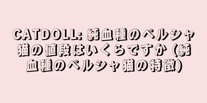CATDOLL: 純血種のペルシャ猫の値段はいくらですか (純血種のペルシャ猫の特徴)