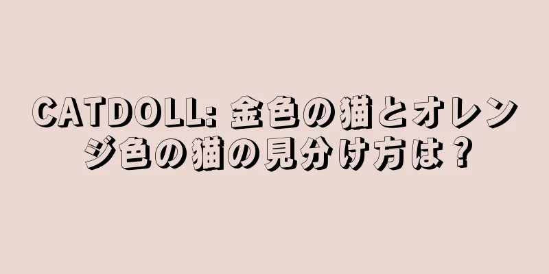 CATDOLL: 金色の猫とオレンジ色の猫の見分け方は？