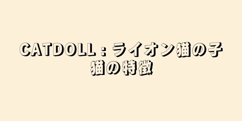 CATDOLL : ライオン猫の子猫の特徴