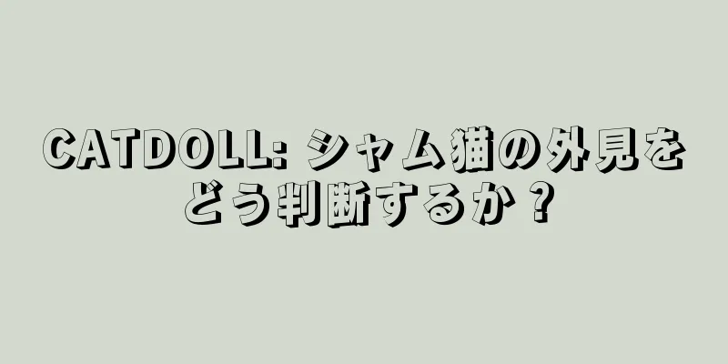CATDOLL: シャム猫の外見をどう判断するか？