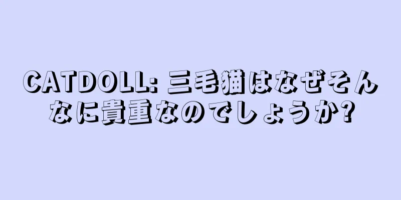 CATDOLL: 三毛猫はなぜそんなに貴重なのでしょうか?