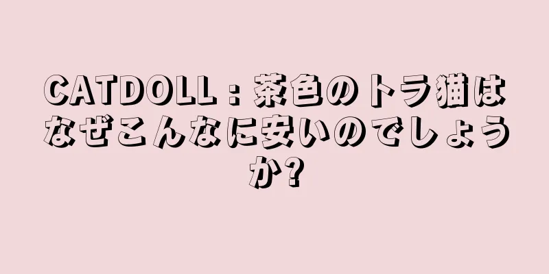 CATDOLL : 茶色のトラ猫はなぜこんなに安いのでしょうか?