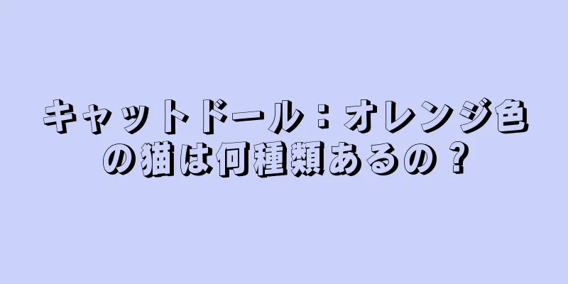 キャットドール：オレンジ色の猫は何種類あるの？