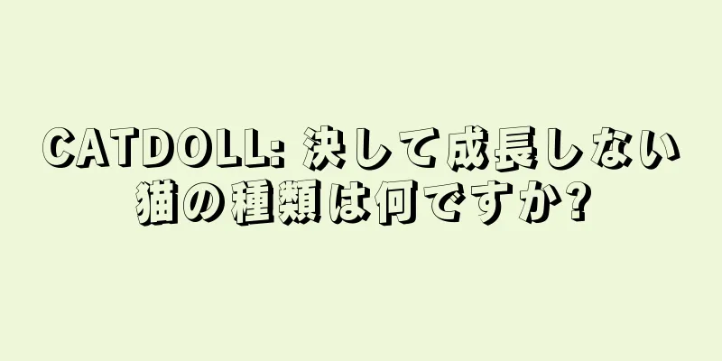 CATDOLL: 決して成長しない猫の種類は何ですか?