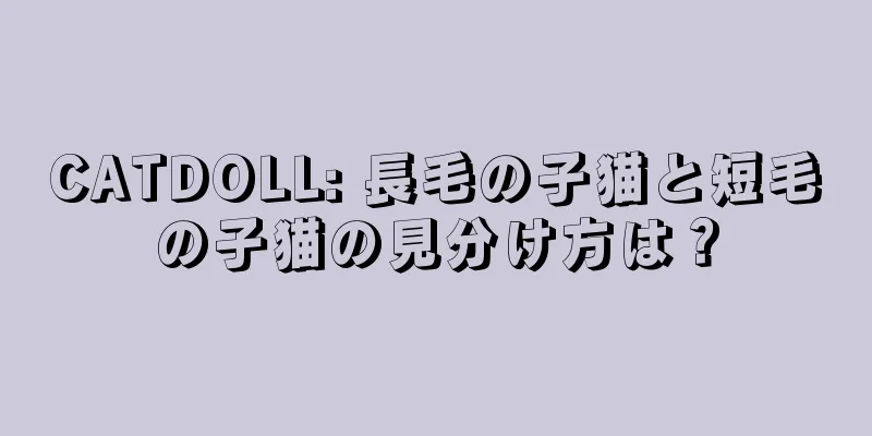 CATDOLL: 長毛の子猫と短毛の子猫の見分け方は？