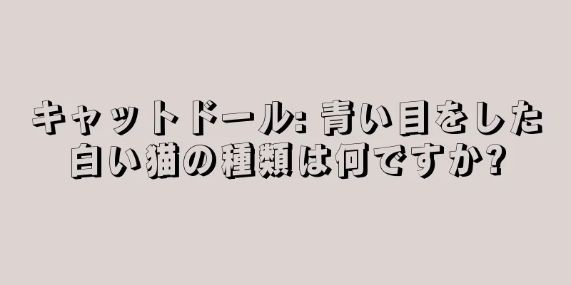 キャットドール: 青い目をした白い猫の種類は何ですか?