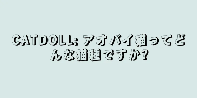 CATDOLL: アオバイ猫ってどんな猫種ですか?