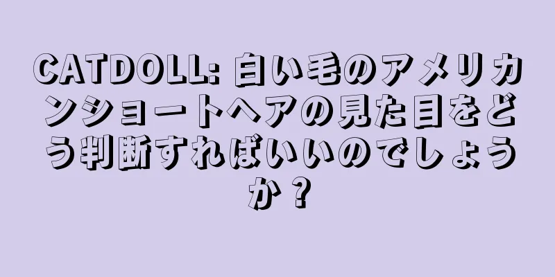 CATDOLL: 白い毛のアメリカンショートヘアの見た目をどう判断すればいいのでしょうか？