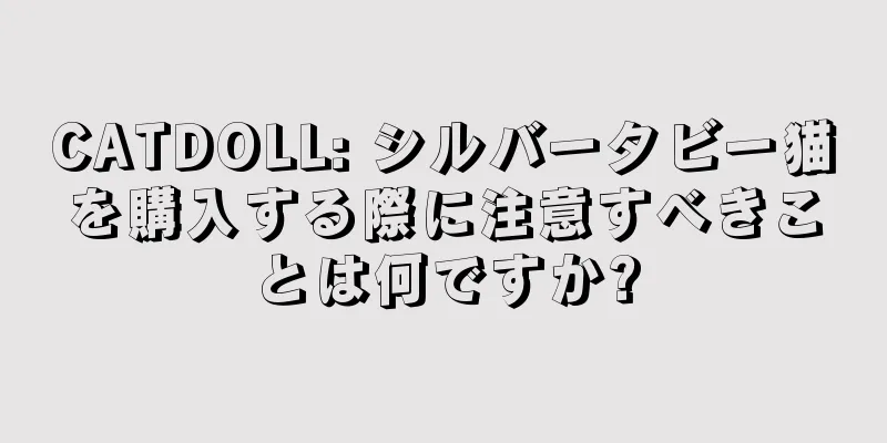 CATDOLL: シルバータビー猫を購入する際に注意すべきことは何ですか?