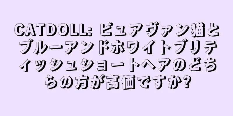 CATDOLL: ピュアヴァン猫とブルーアンドホワイトブリティッシュショートヘアのどちらの方が高価ですか?