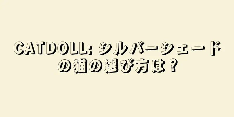 CATDOLL: シルバーシェードの猫の選び方は？