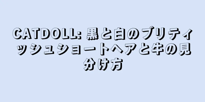 CATDOLL: 黒と白のブリティッシュショートヘアと牛の見分け方