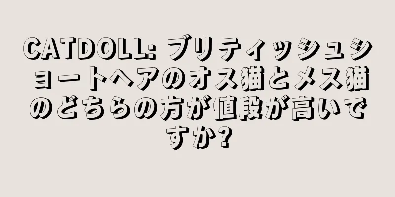 CATDOLL: ブリティッシュショートヘアのオス猫とメス猫のどちらの方が値段が高いですか?