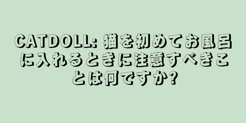 CATDOLL: 猫を初めてお風呂に入れるときに注意すべきことは何ですか?